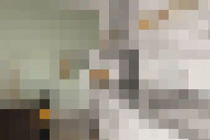 Eemlaan 9 Amersfoort thumbnail 24