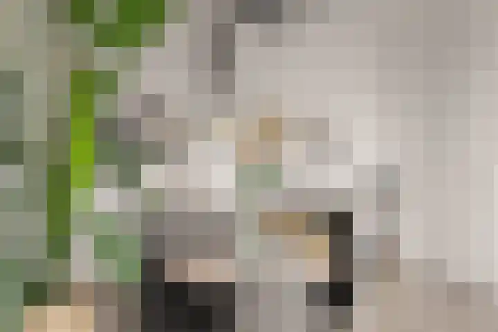 Eemlaan 9 Amersfoort thumbnail 29