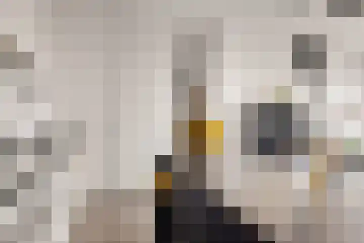 Eemlaan 9 Amersfoort thumbnail 31