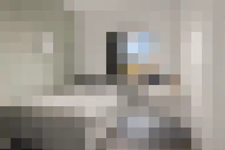 Eemlaan 9 Amersfoort thumbnail 33