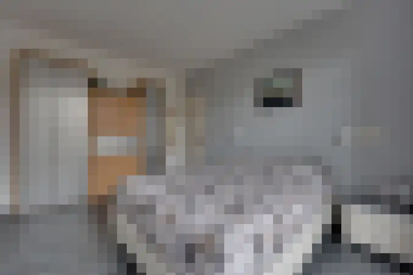 Eemland 12 Assen thumbnail 21