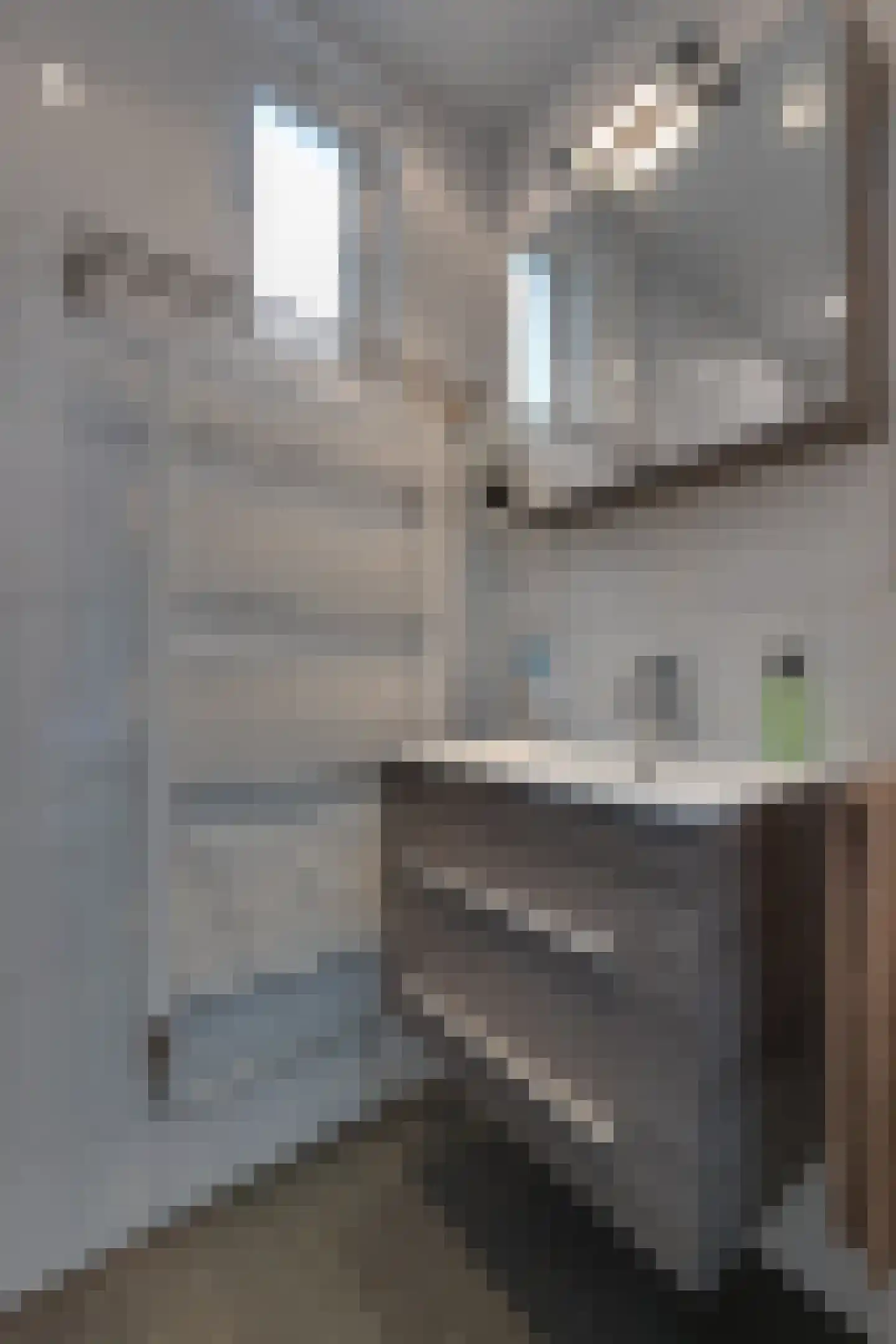 Eemland 12 Assen thumbnail 23