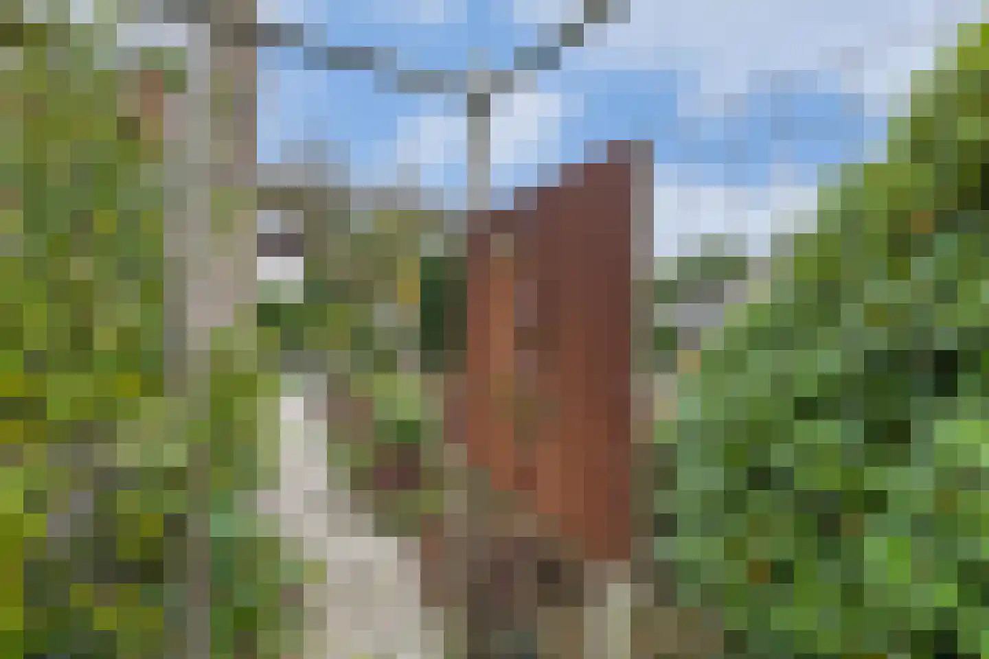 Eemland 12 Assen thumbnail 50