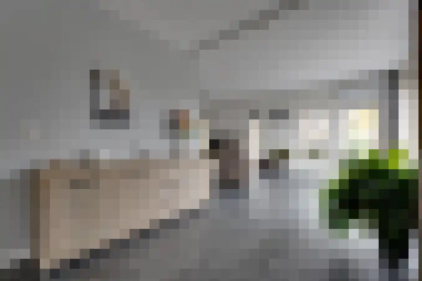 Eemland 12 Assen thumbnail 6