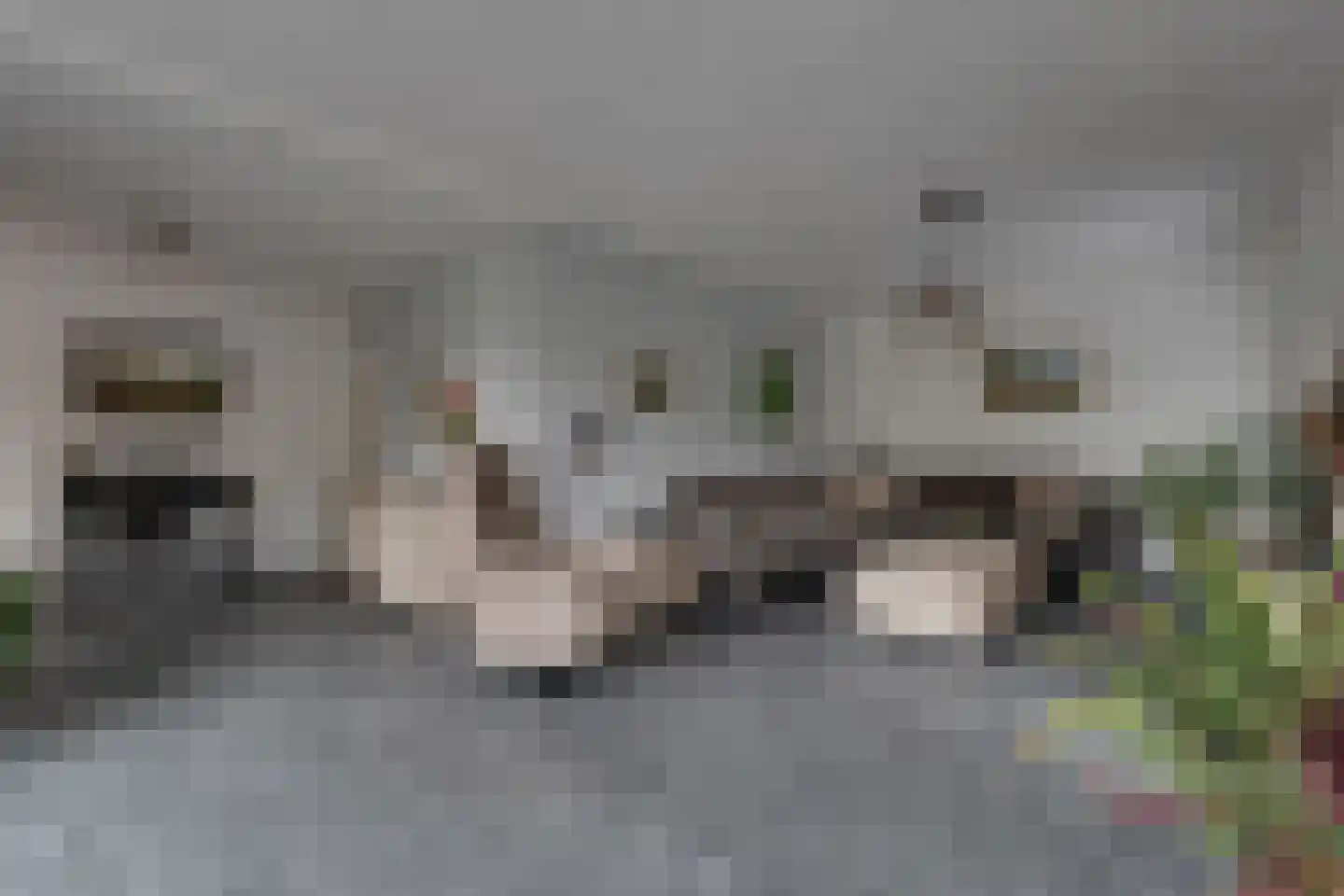 Eemland 12 Assen thumbnail 7