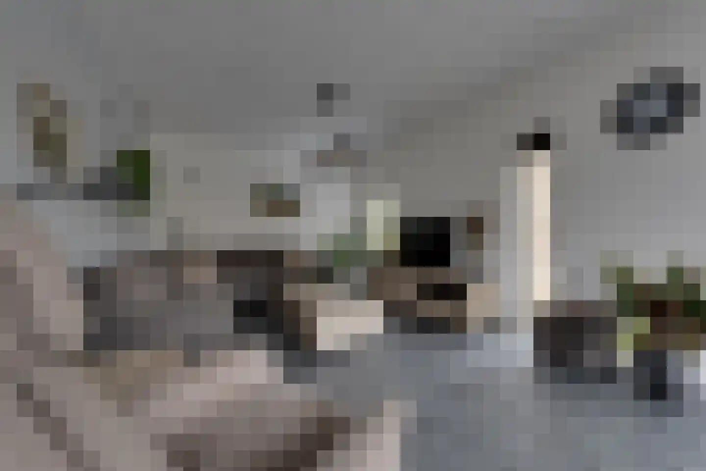 Eemland 12 Assen thumbnail 8