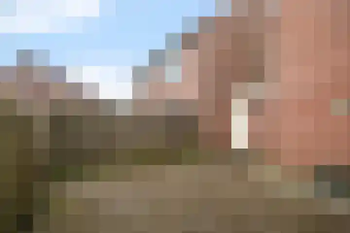 Eemland 16 Dronten thumbnail 21