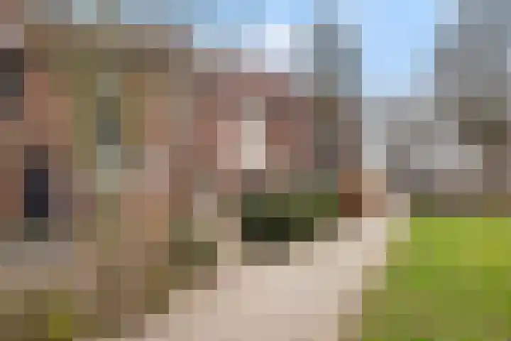 Eemland 16 Dronten thumbnail 23