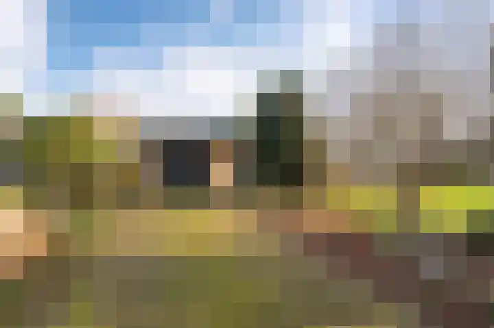 Eemland 16 Dronten thumbnail 30