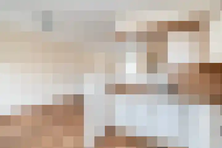 Eemland 16 Dronten thumbnail 5