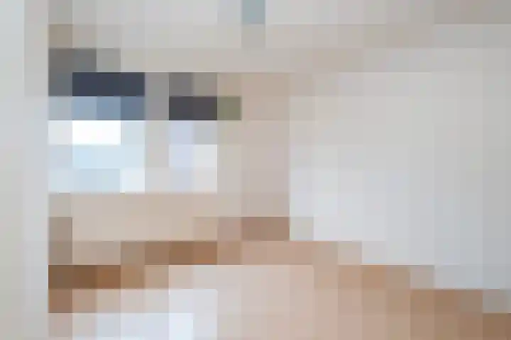 Eemland 16 Dronten thumbnail 8