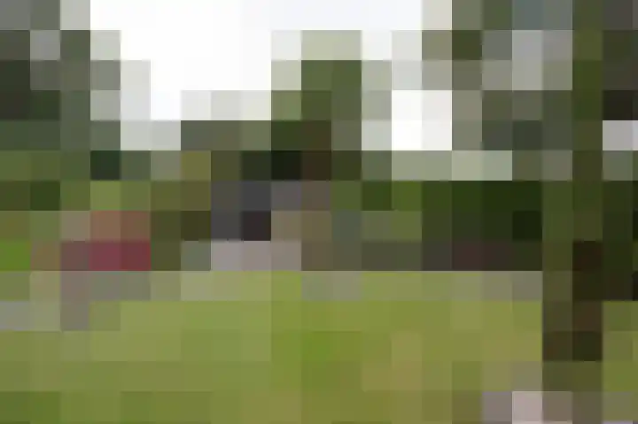 Eemland 20 Assen thumbnail 57