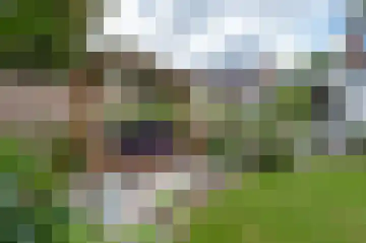 Eemland 20 Assen thumbnail 59