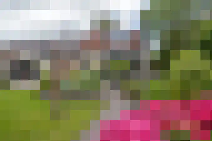 Eemland 20 Assen thumbnail 61