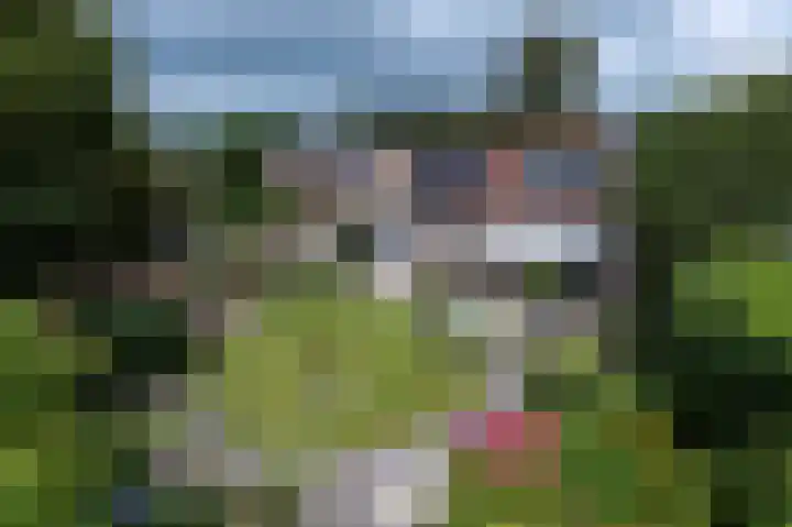 Eemland 20 Assen thumbnail 65
