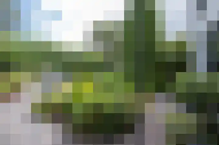 Eemland 20 Assen thumbnail 9