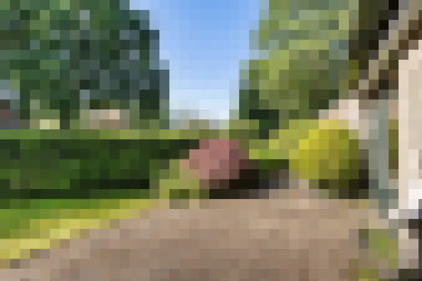 Eemland 23 Assen thumbnail 32