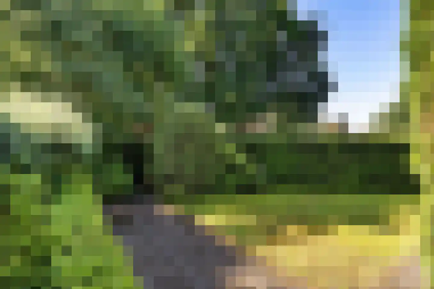 Eemland 23 Assen thumbnail 33