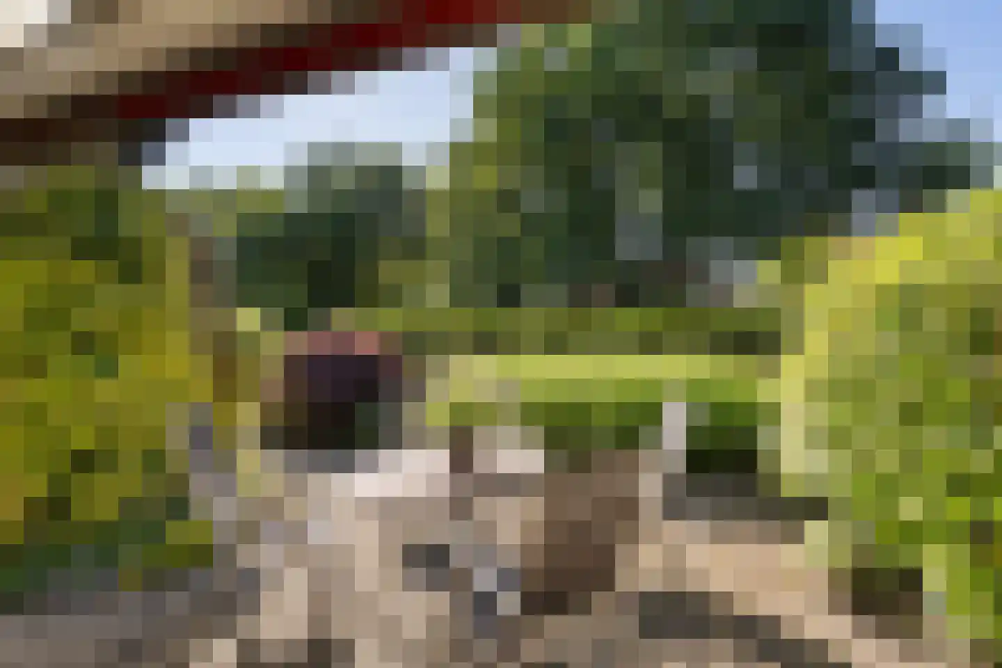Eemland 23 Assen thumbnail 35