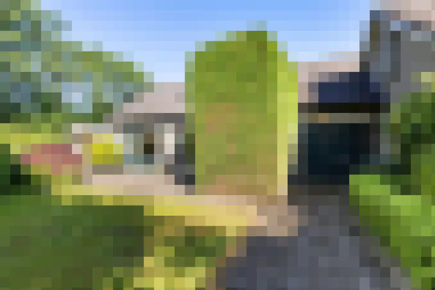 Eemland 23 Assen thumbnail 36