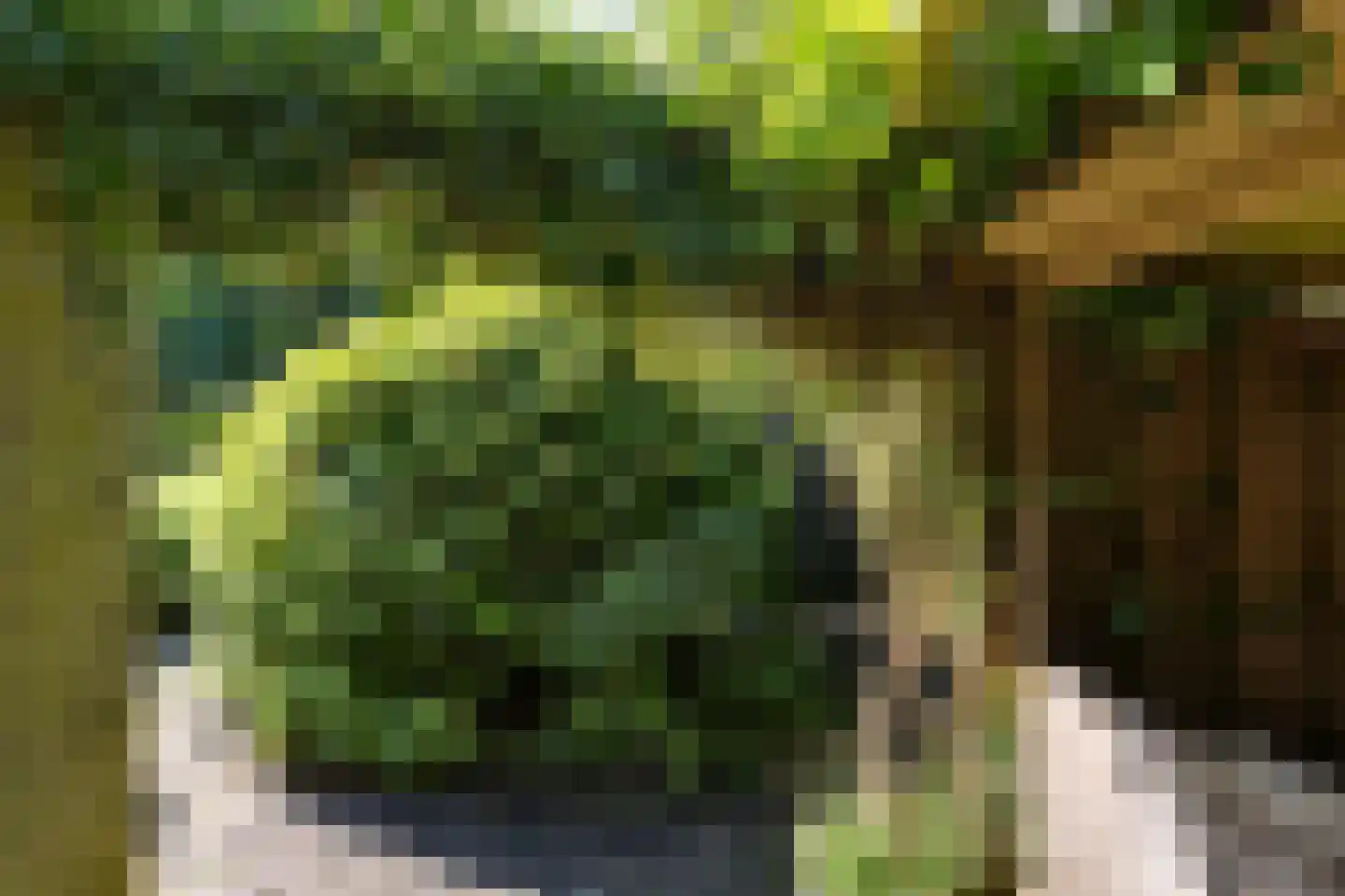 Eemland 23 Assen thumbnail 37