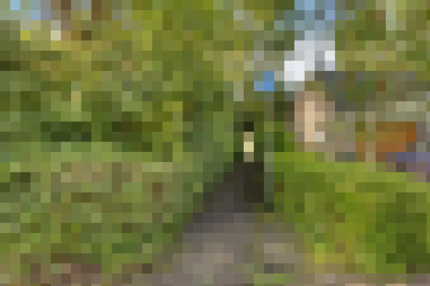 Eemland 23 Assen thumbnail 41