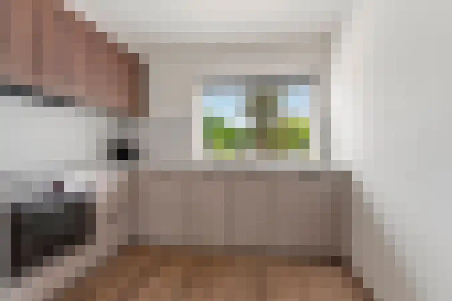 Eemland 47 's-Hertogenbosch thumbnail 10