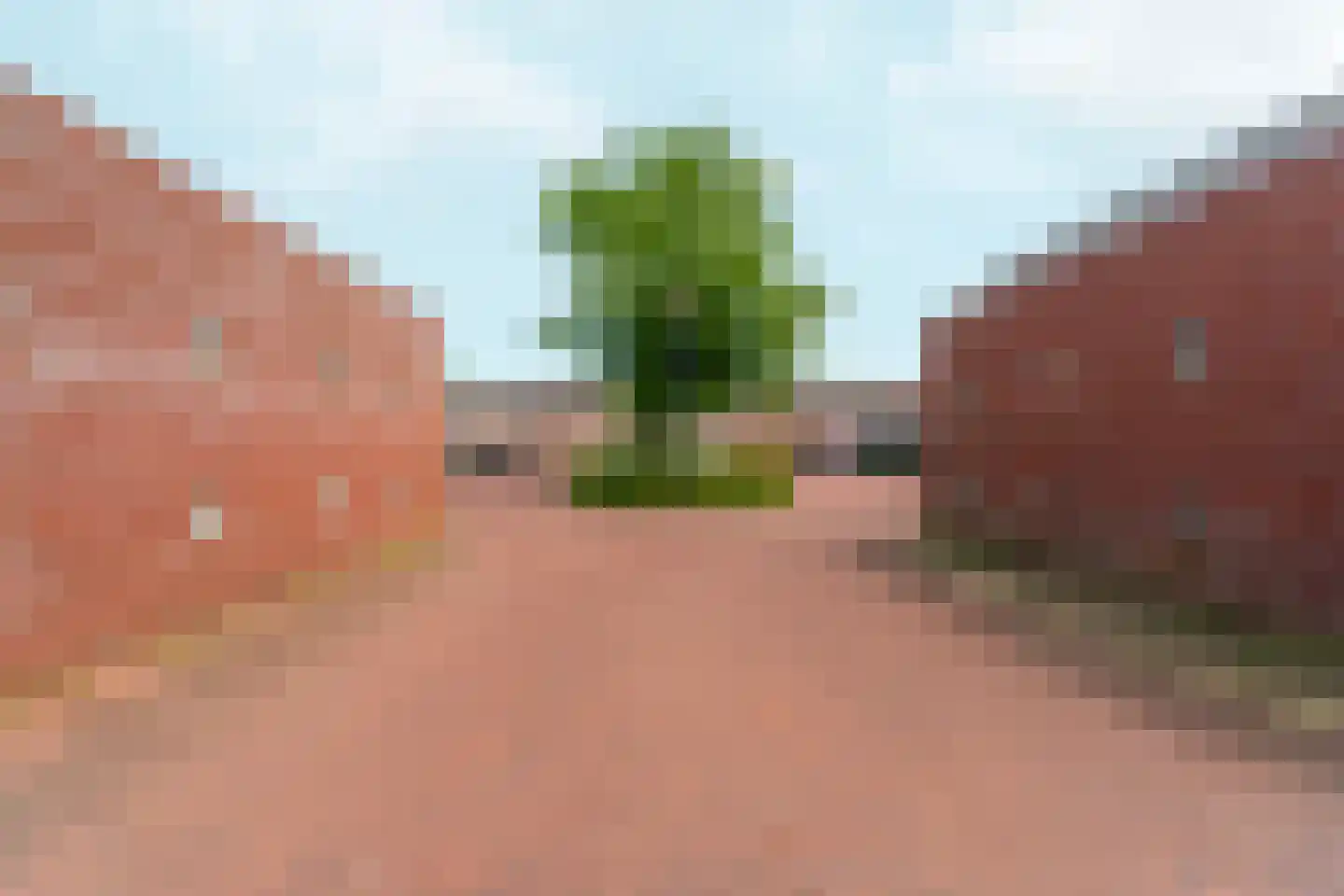 Eemland 47 's-Hertogenbosch thumbnail 44