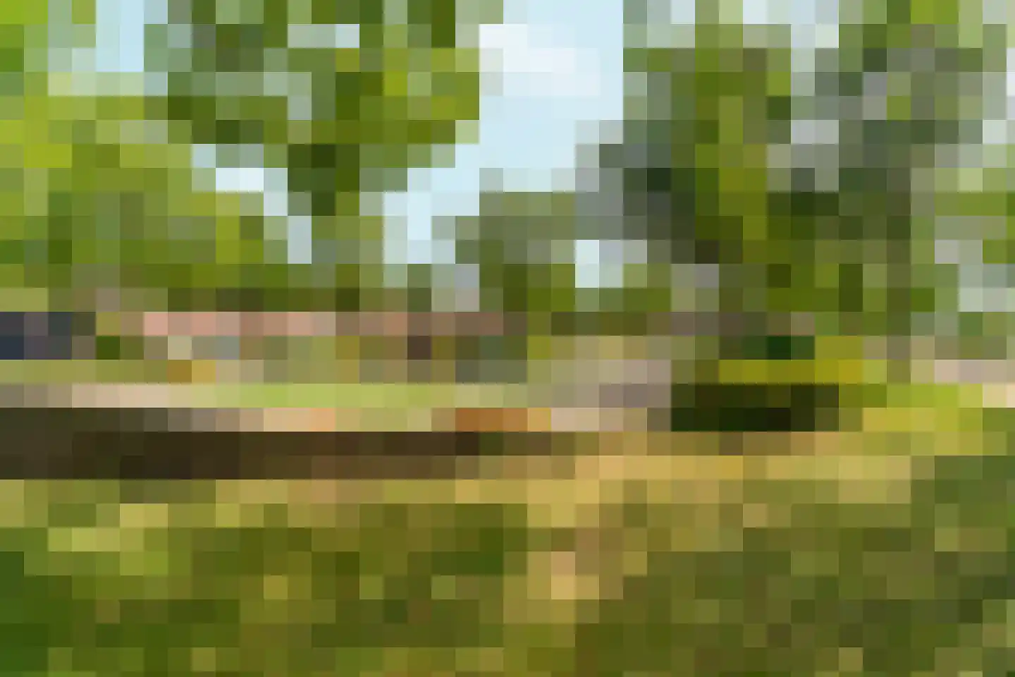 Eemland 47 's-Hertogenbosch thumbnail 47