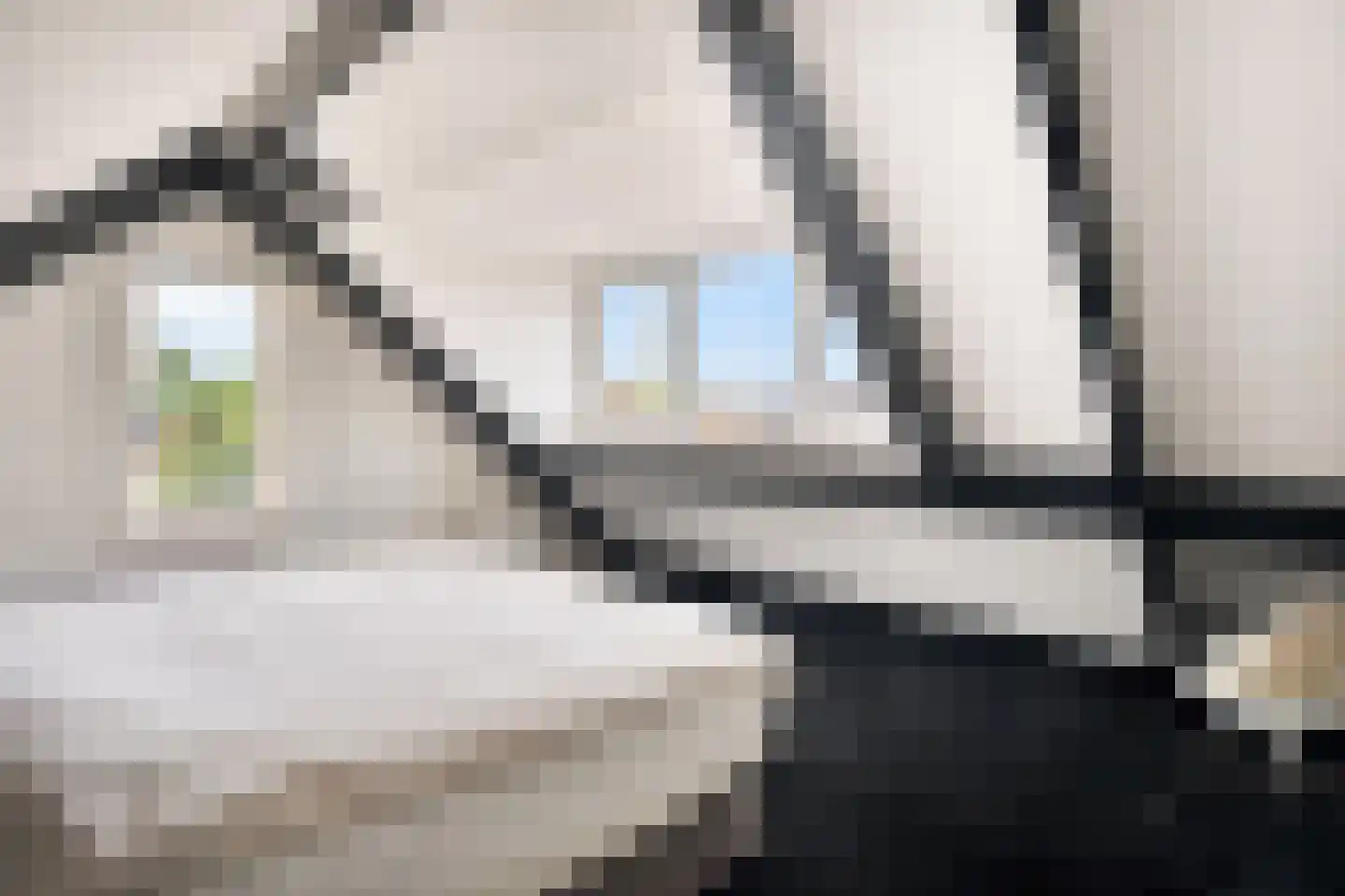 Eemlandia 35 Bunschoten-Spakenburg thumbnail 33