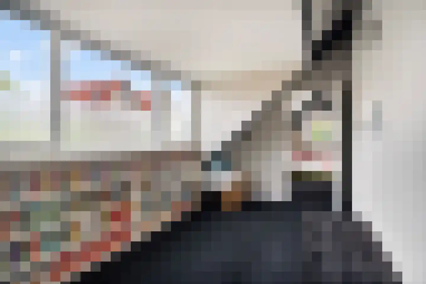 Eemlandia 35 Bunschoten-Spakenburg thumbnail 39