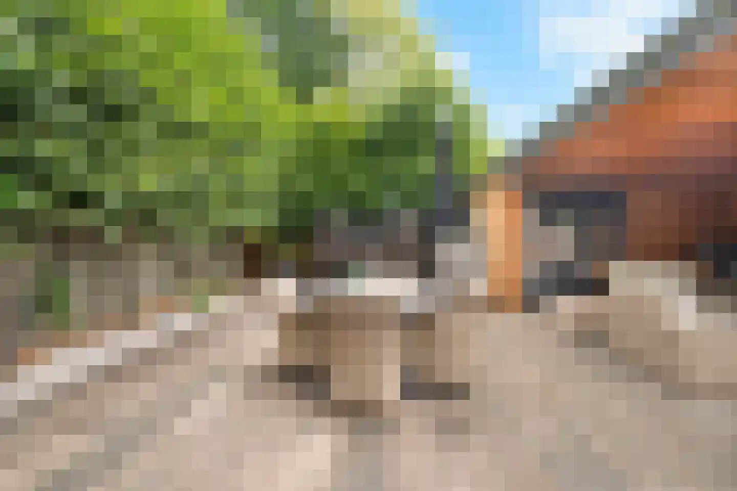Eemlandia 35 Bunschoten-Spakenburg thumbnail 43