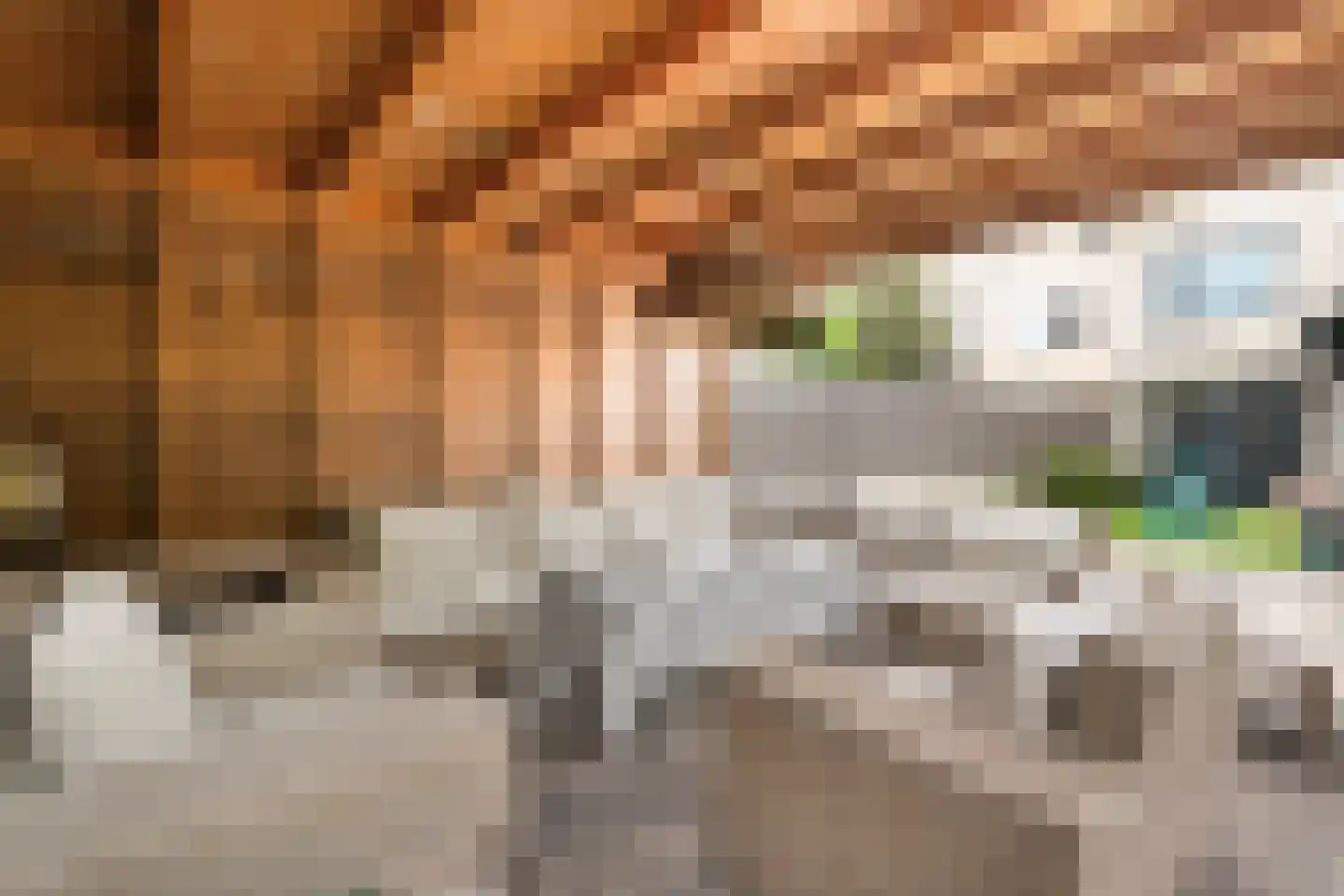Eemlandia 35 Bunschoten-Spakenburg thumbnail 45