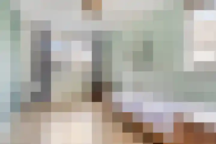 Eemlandia 39 Bunschoten-Spakenburg thumbnail 31