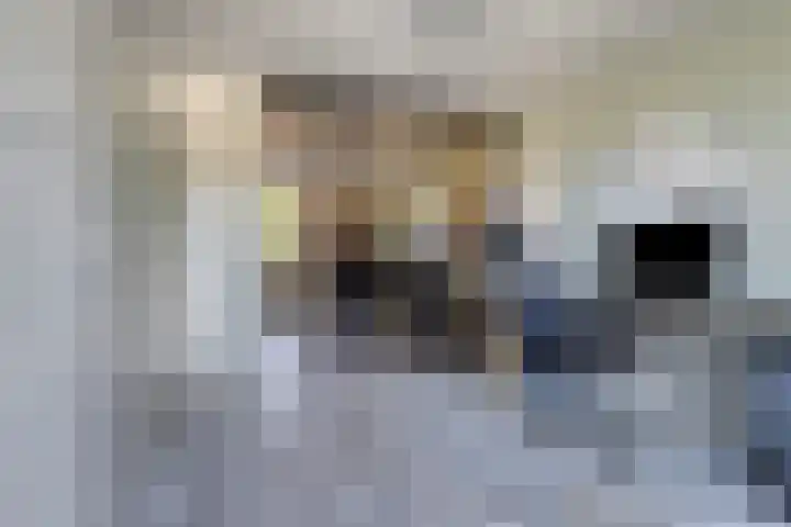Eemlandia 39 Bunschoten-Spakenburg thumbnail 33