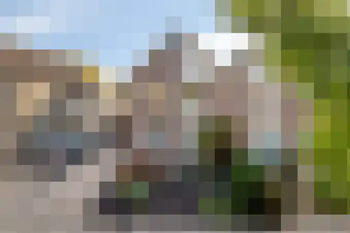 Eemlandia 39 Bunschoten-Spakenburg thumbnail 4