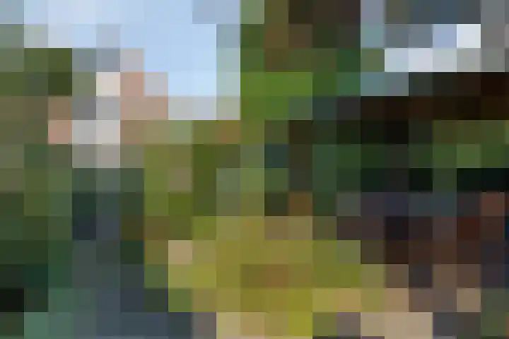 Eemlandia 39 Bunschoten-Spakenburg thumbnail 44
