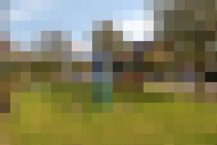 Eemlandia 39 Bunschoten-Spakenburg thumbnail 45