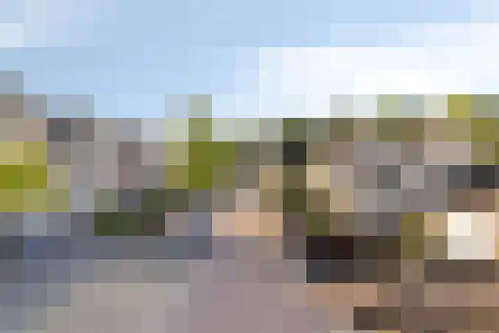 Eemlandia 39 Bunschoten-Spakenburg thumbnail 5