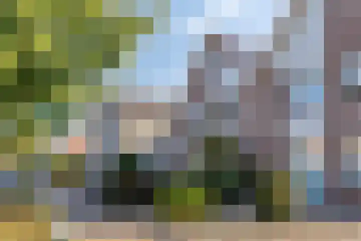 Eemlandia 39 Bunschoten-Spakenburg thumbnail 6