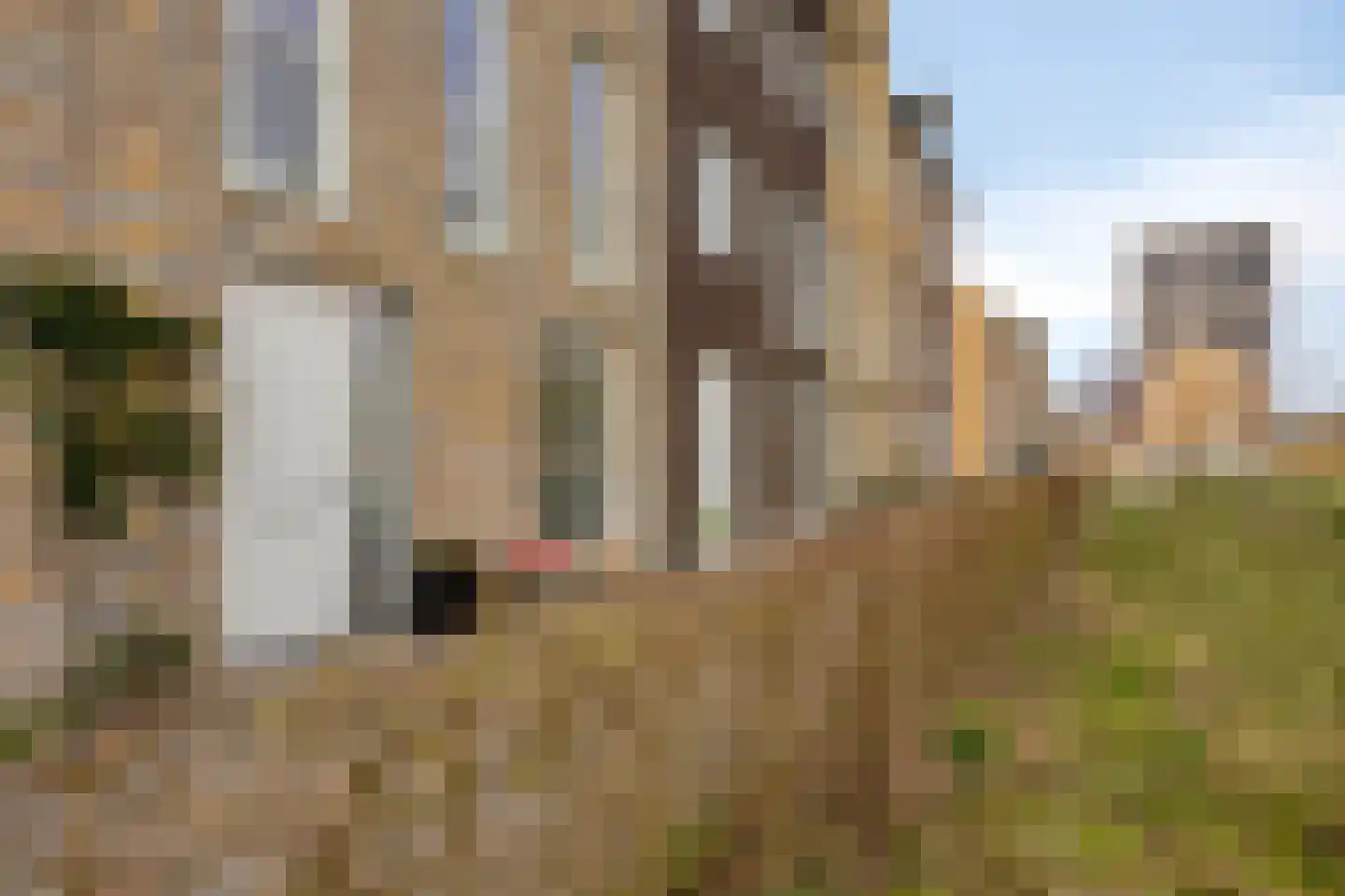 Eemlandstraat 22 Tilburg thumbnail 32