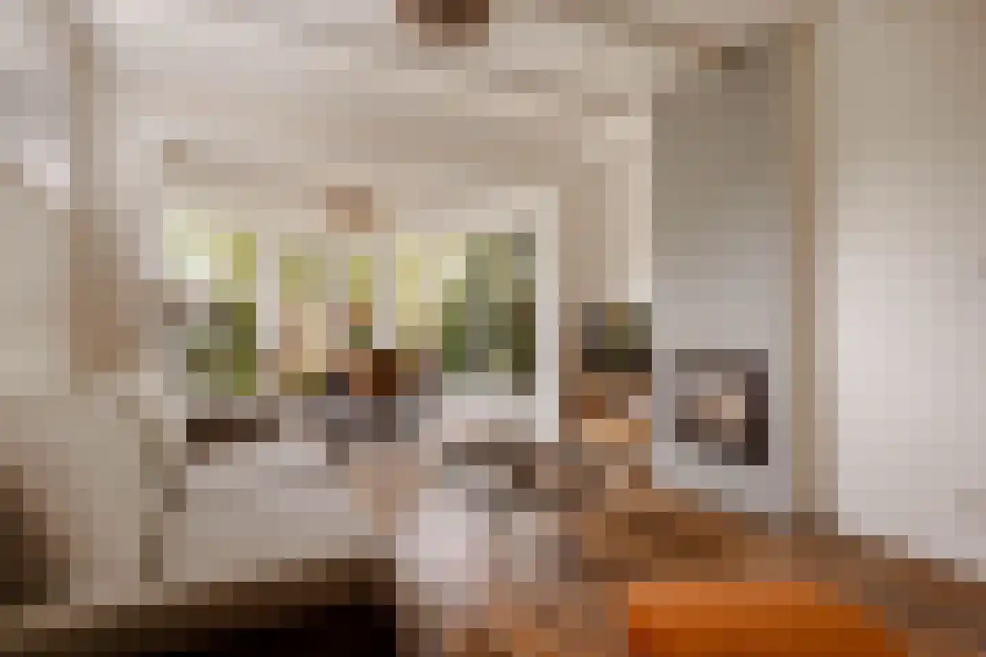 Eemlandweg 6 Huizen thumbnail 14