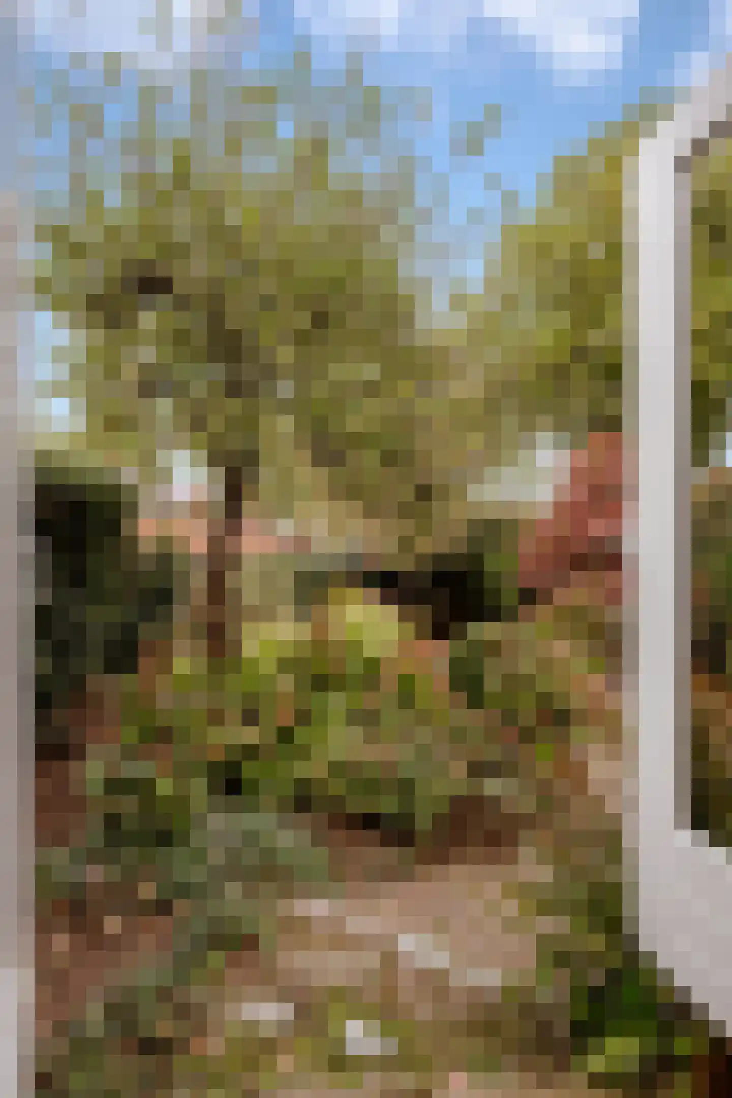 Eemlandweg 6 Huizen thumbnail 20