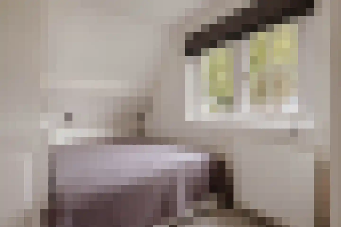 Eemlandweg 6 Huizen thumbnail 29