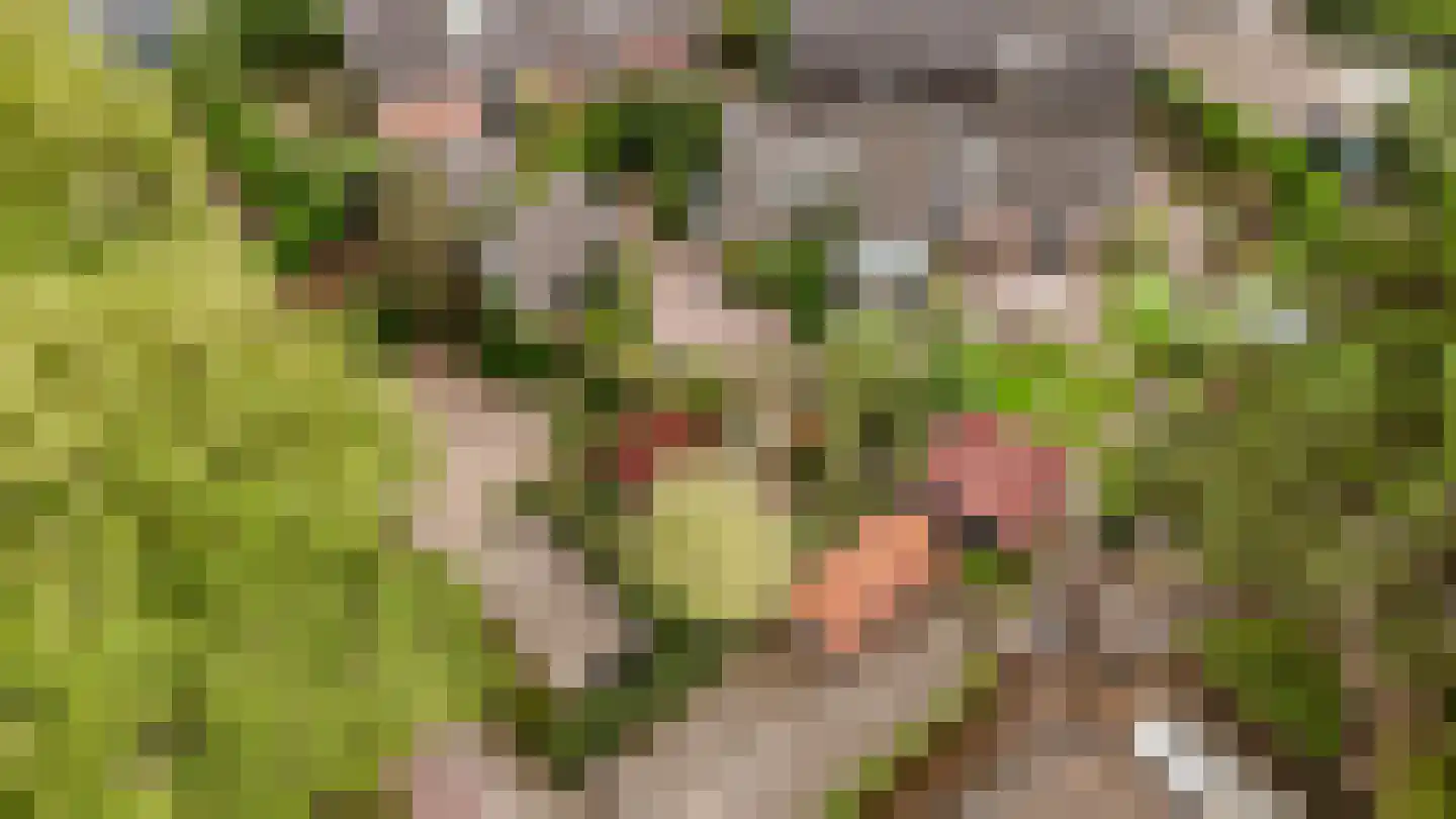 Eemlandweg 6 Huizen thumbnail 46