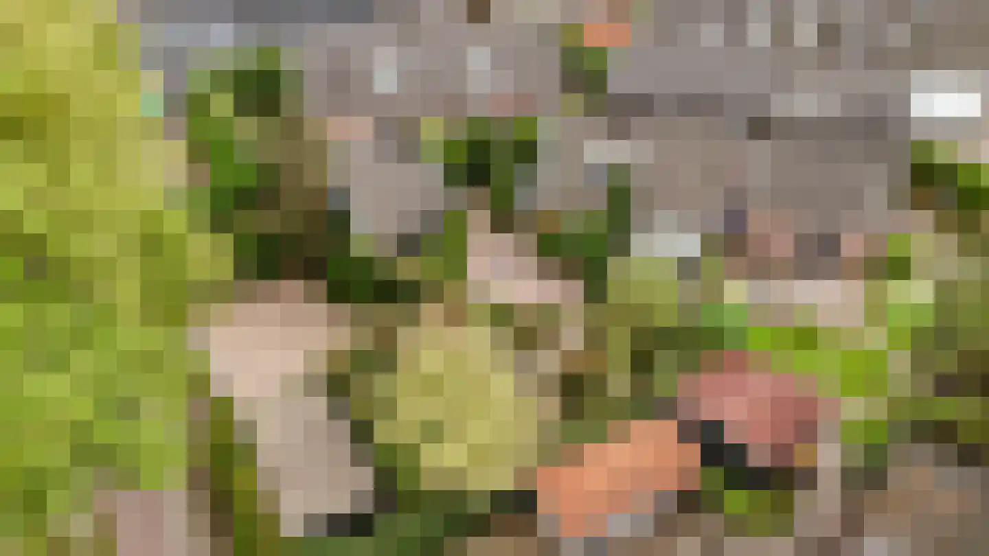 Eemlandweg 6 Huizen thumbnail 47
