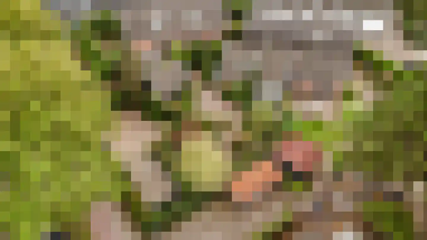 Eemlandweg 6 Huizen thumbnail 48