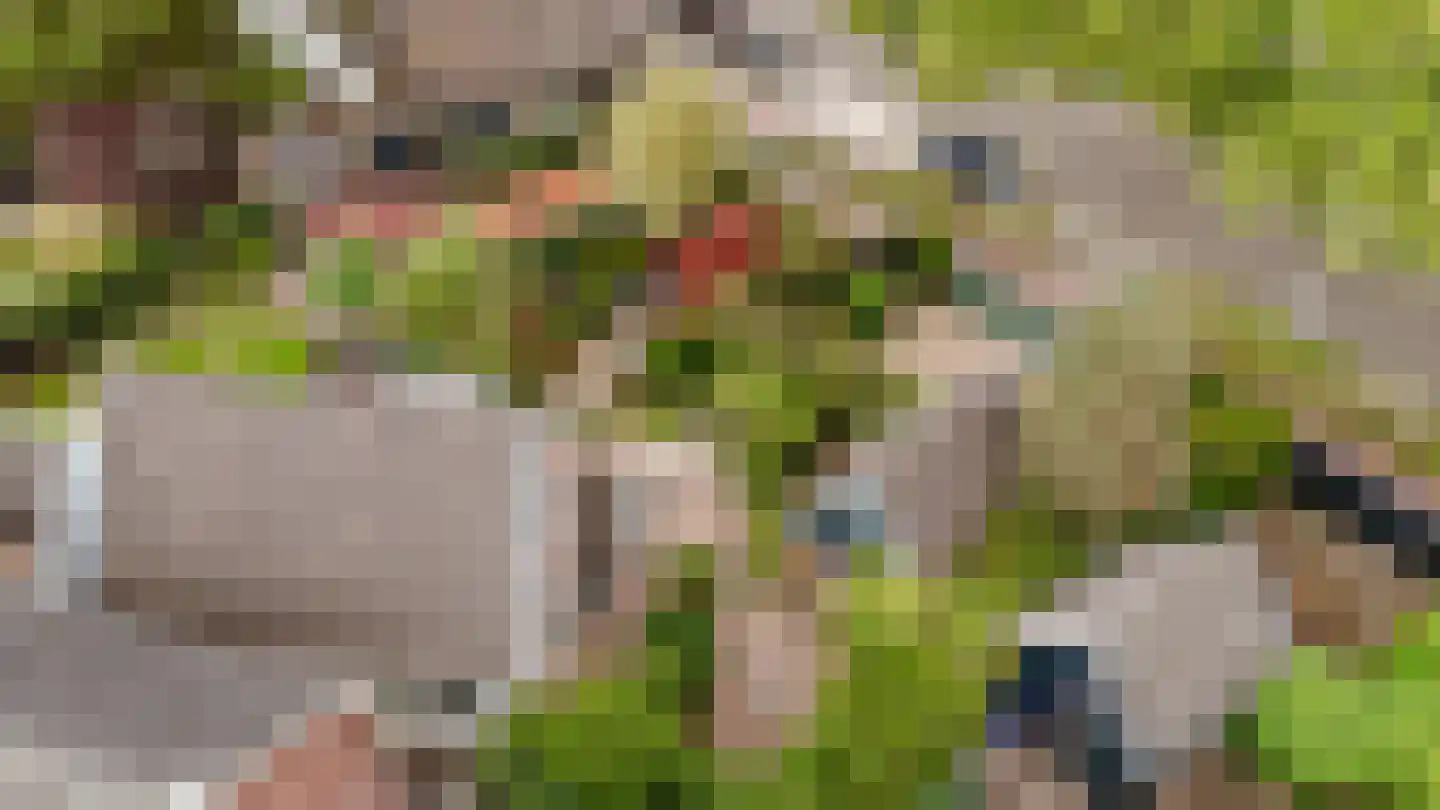 Eemlandweg 6 Huizen thumbnail 49