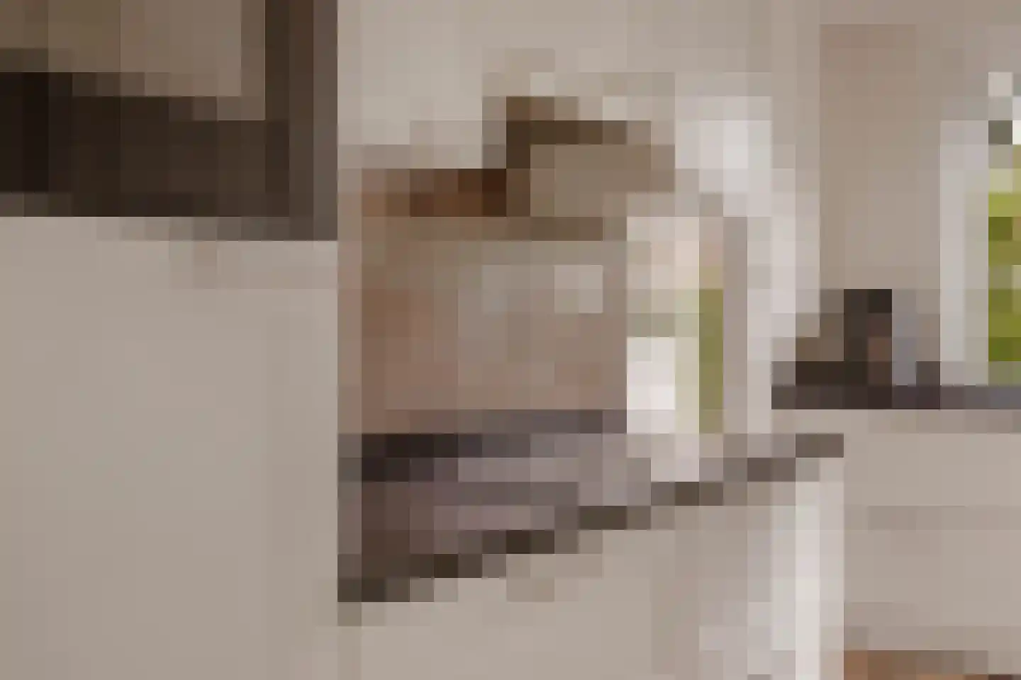 Eemlandweg 6 Huizen thumbnail 7