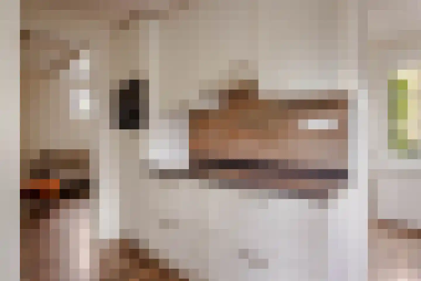 Eemlandweg 6 Huizen thumbnail 9